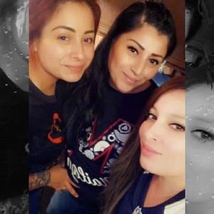 Meet your Posher, Elsa